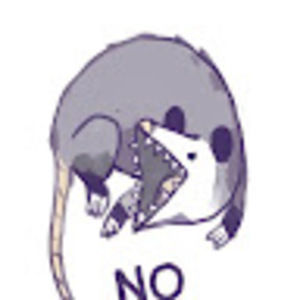 Meet your Posher, Fiorella